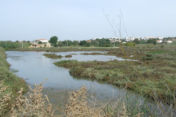 Half-Day Birdwatching at the Abicada Marshed - Duration of the Birdwatching Tour