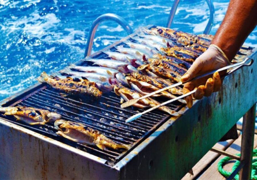 Half Day Boat Trip Fishing & Swimming With Barbecue Lunch - Experience Highlights