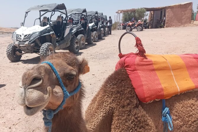 Half Day Buggy Bike in Agafay Desert From Marrakesh - Good To Know