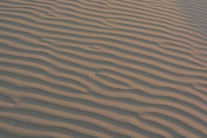 Half Day Camel Safari (Non Touristic Sand Dune)
