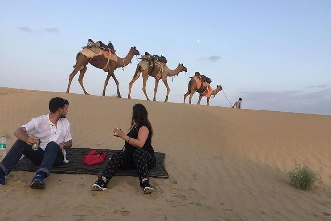 Half Day Camel Safari Sunset With Dinner Tour (Non Touristic)