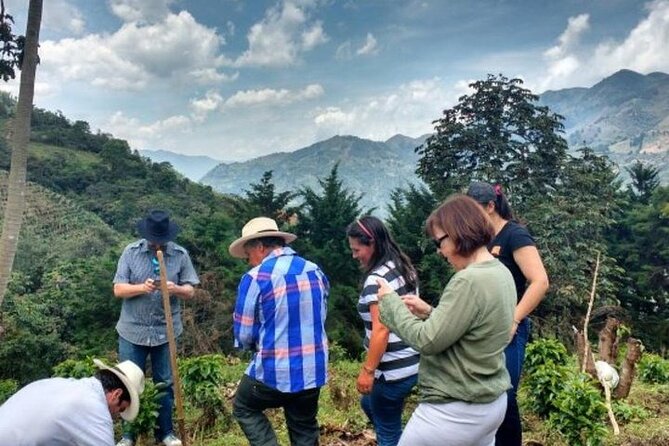 Half-Day Coffee Tour at Family Farm Close to Medellín - Tour Highlights