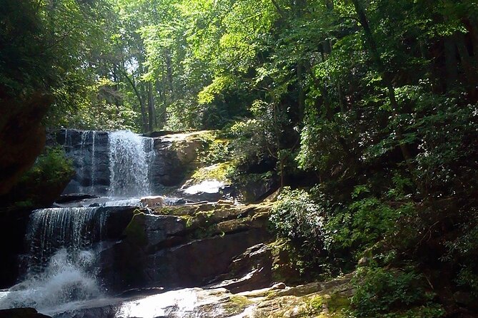 Half Day Educational Waterfall & Forest Hike Guided Tour With Lunch - Inclusions and Accessibility