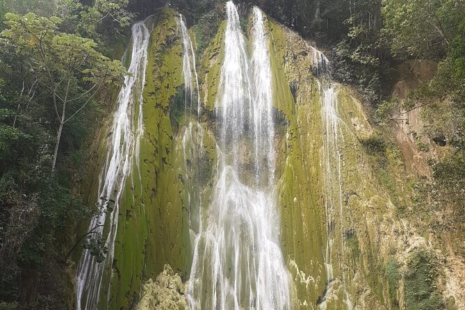 Half-Day El Limon Waterfall and Cayo Levantado Tour With Lunch - Good To Know