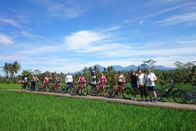 Half-Day Electric Cycling Tour of Ubud - Good To Know