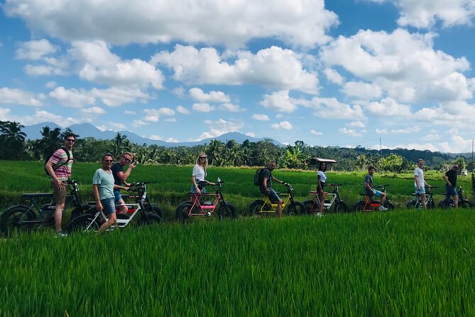 Half-Day Electric Fat Bike Tour of Ubud - Good To Know