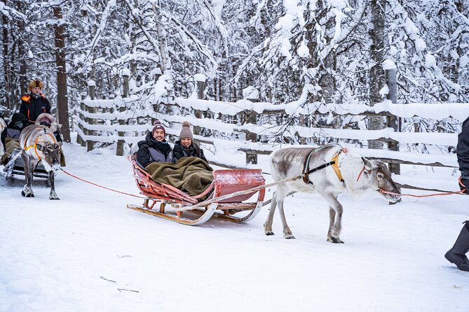 Half-Day Experience in Local Reindeer Farm in Lapland - Good To Know
