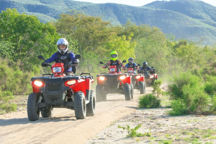 Half-Day Guided ATV Tour at Migriño Area - Good To Know