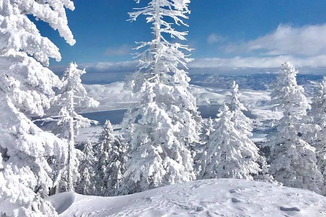 Half-Day Guided Backcountry Ski Touring Experience Near Incline Village - Good To Know