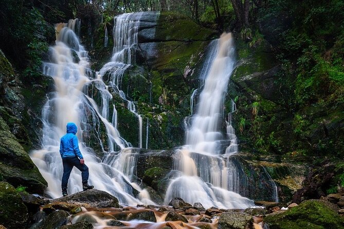 Half-Day Guided Table Mountain Hike Cape Town - Good To Know