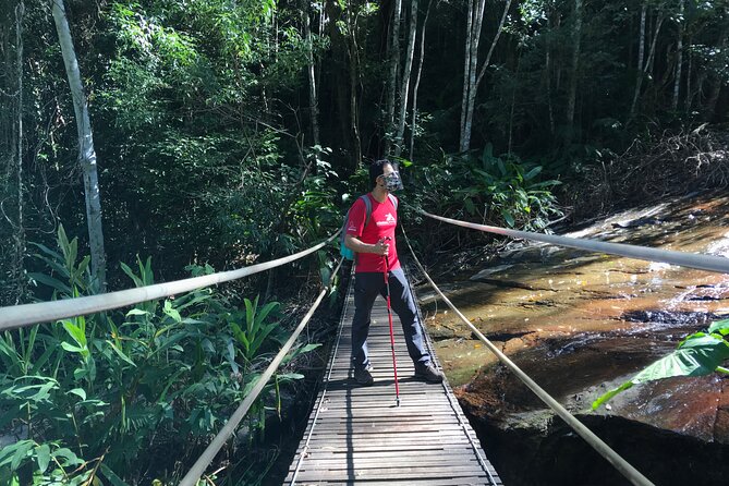 Half-Day Guided Tour of Tijuca Forest National Park  - Rio De Janeiro - Good To Know