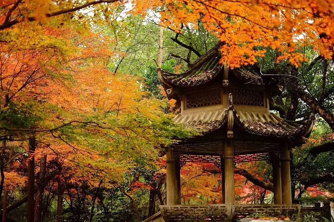 Half-Day Hangzhou Tianzhu Buddhist Mountain Hiking Tour With Green Tea Village - Good To Know