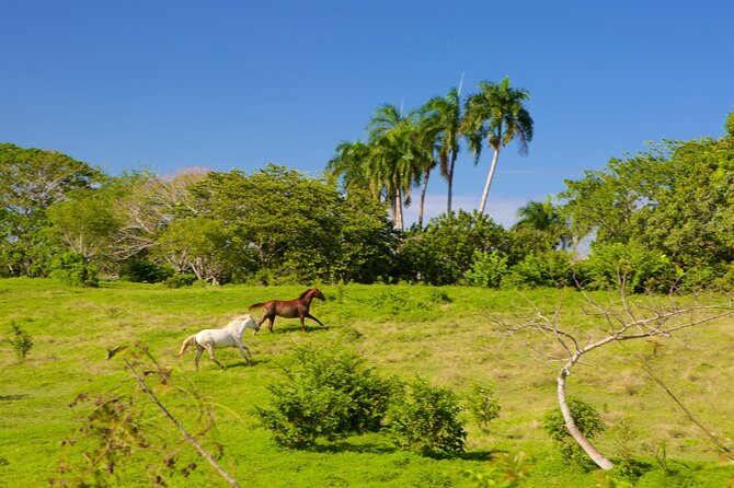 Half Day Higuey City Tour From Punta Cana With Pick up