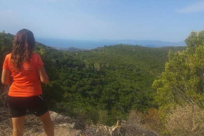 Half-Day Hike in Sardinias Seven Brothers National Park (Feb ) - Good To Know