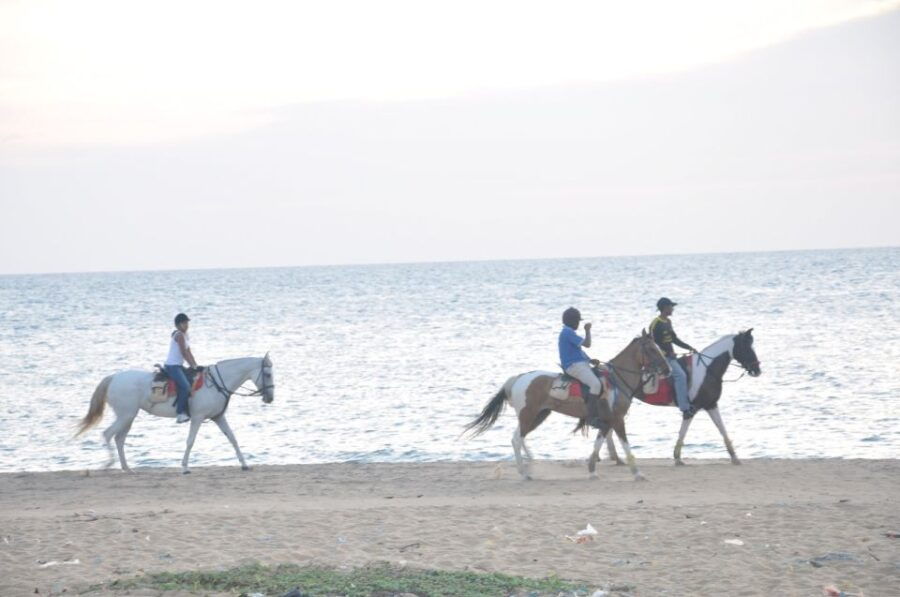 Half-Day Horse Riding in Kalpitiya - Good To Know