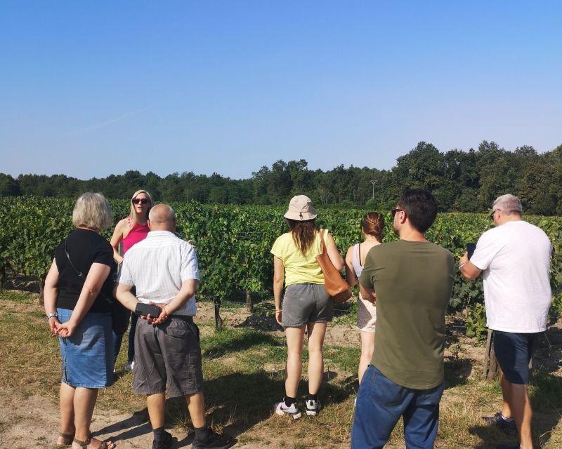 Half-Day in the Médoc From Bordeaux – 2 Wineries and 6 Wines