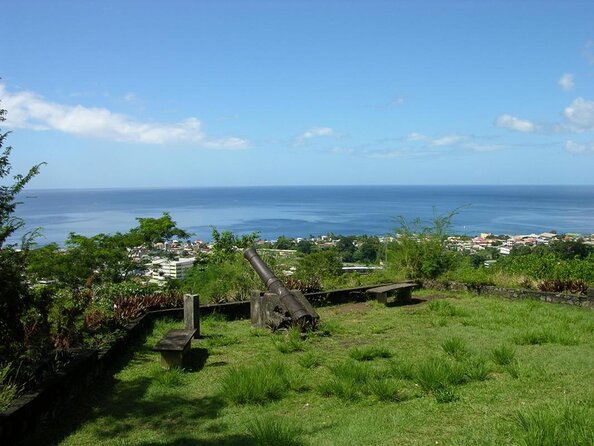 2 Best Safari Tours In Dominica