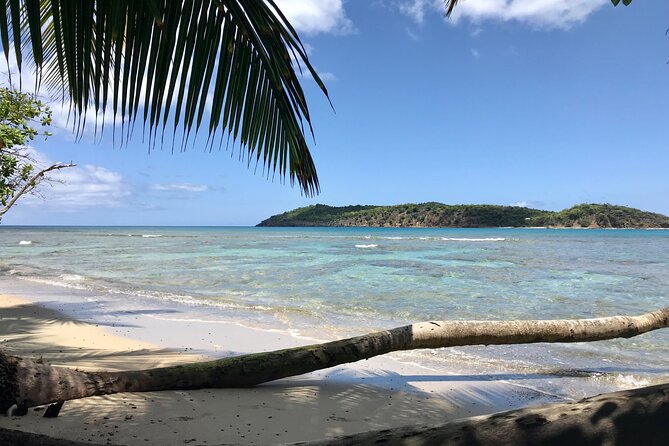 Half Day Jeep Tours and Excursions in Virgin Islands