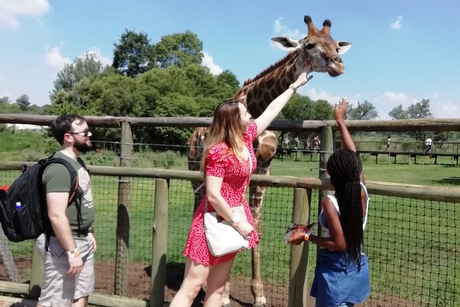 Half-Day Lion and Safari Park Tour - Good To Know