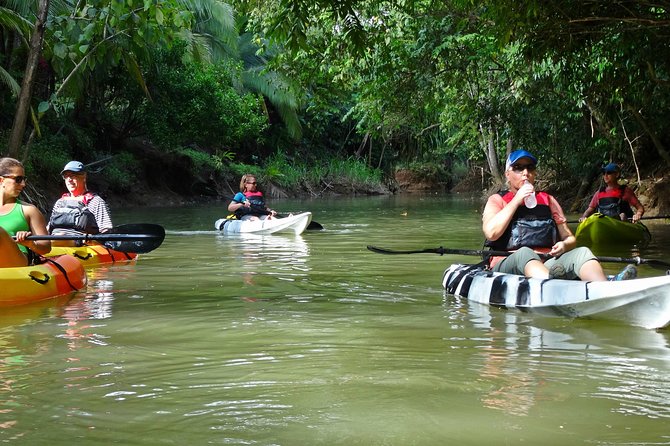 Half-Day Mangroves Tour by Kayak With a Naturalist Guide - Quepos