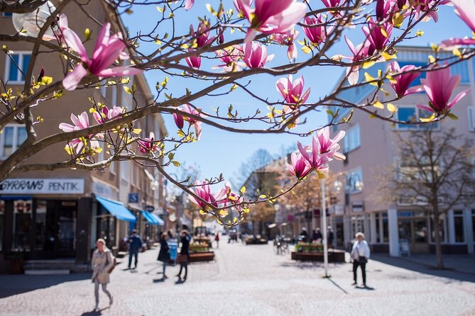 Half Day Mariehamn Private Guided Walking Tour - Good To Know