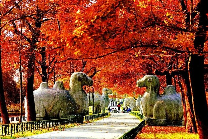Half-Day Nanjing Purple Mountain Private Tour in Your Way