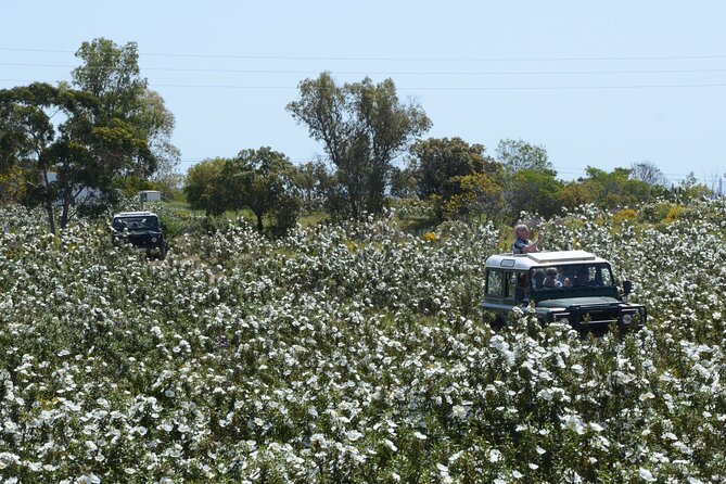Half-Day Nature Safari in the Algarve