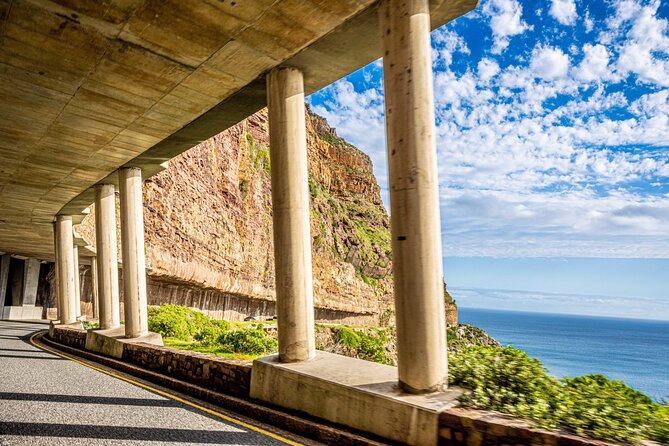 Half Day Peninsula & Wine Combo Tour - Good To Know