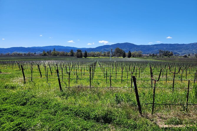 Half Day Private Champagne Wine Tour to Sonoma and Napa - Itinerary Overview