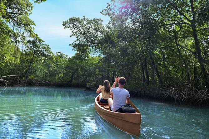 Half-Day Private Los Haitises Caves and Mangroves Canoe Tour - Good To Know