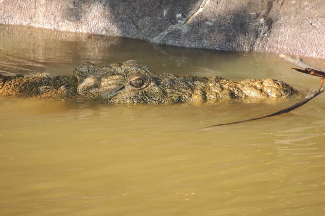 Half Day Private Tour in Isimangaliso Wetland Park