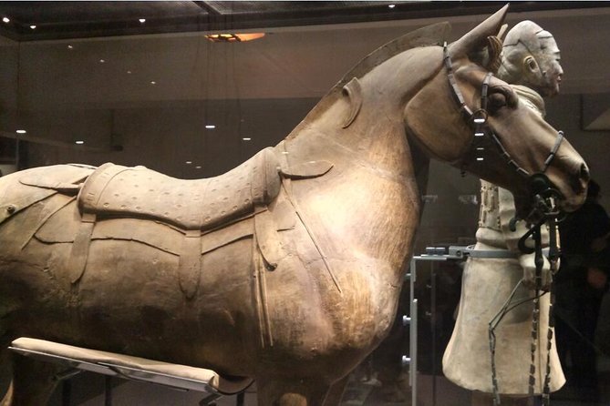Half-Day Private Tour of Xian Terracotta Warriors and Horses Museum - Good To Know