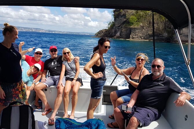 Half Day Private Tour South Martinique (Coral Beds & Turtles) - Good To Know