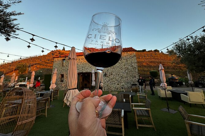 Half Day Private Wine Tasting Tour in Malibu