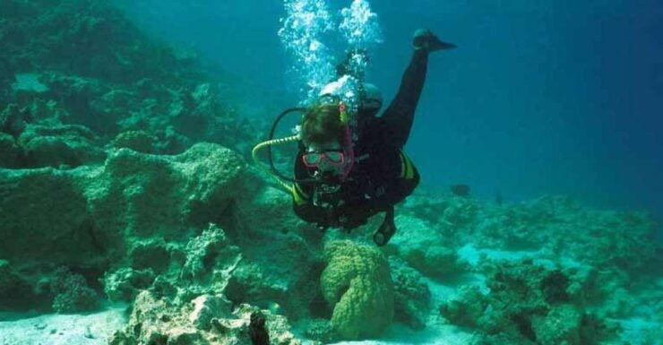 Half-Day: Professionals Diving in Open Water Tour With Lunch - Tour Duration and Starting Times