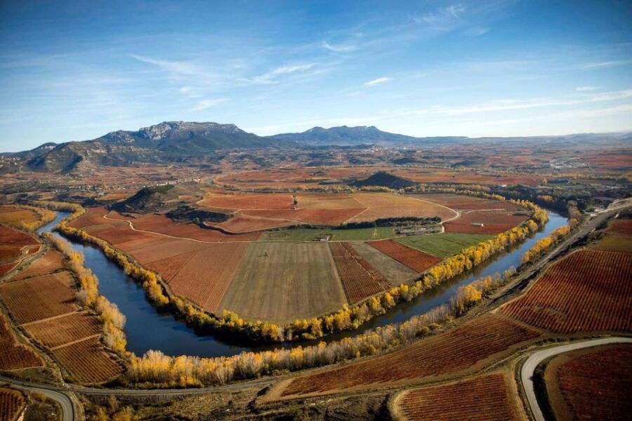 Half Day Rioja Wine Tour (from Rioja)