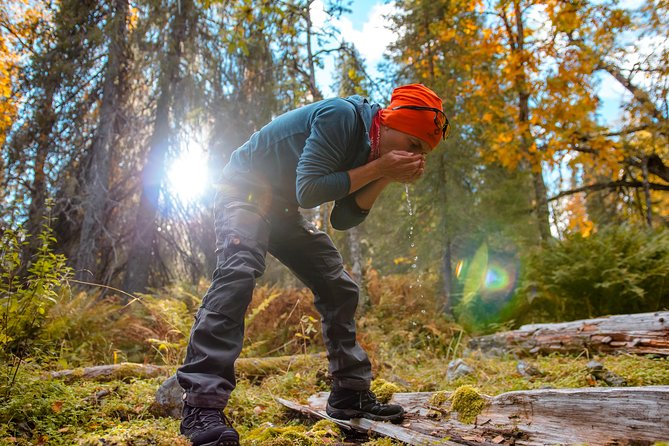 Half-Day Rovaniemi Wilderness Tour - Good To Know