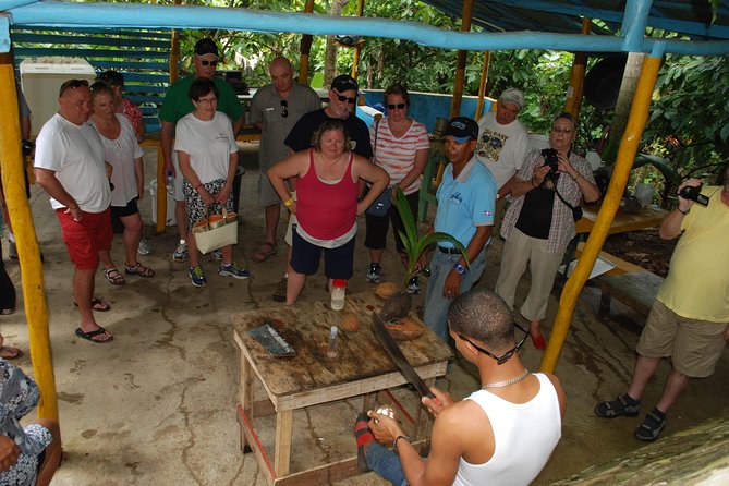 Half-Day Safari Private Tour From Punta Cana