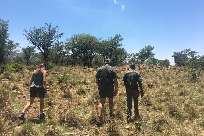 Half Day Safari Tour From Johannesburg