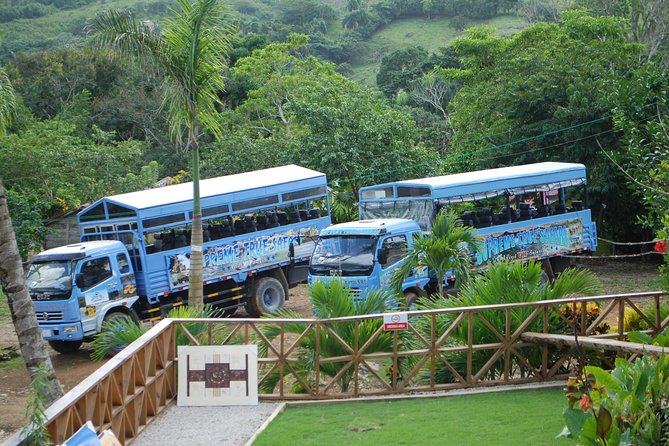 Half-Day Safari Tour From Punta Cana