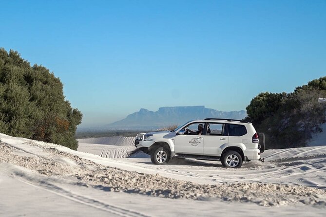 Half-Day Sand Dune Safaris in Cape Town - Good To Know