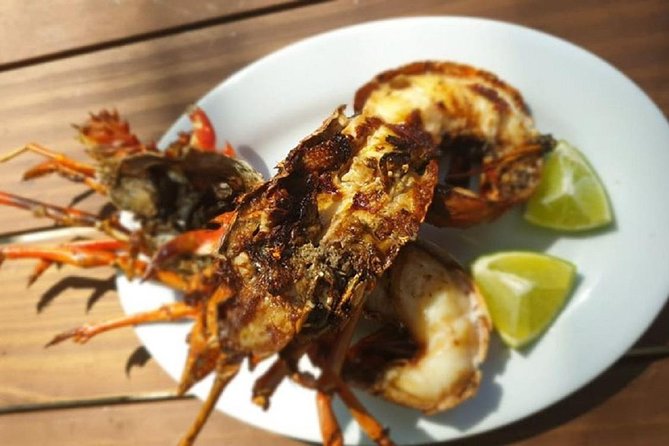 Half-Day Saona Experience - Dominican Republic - Good To Know