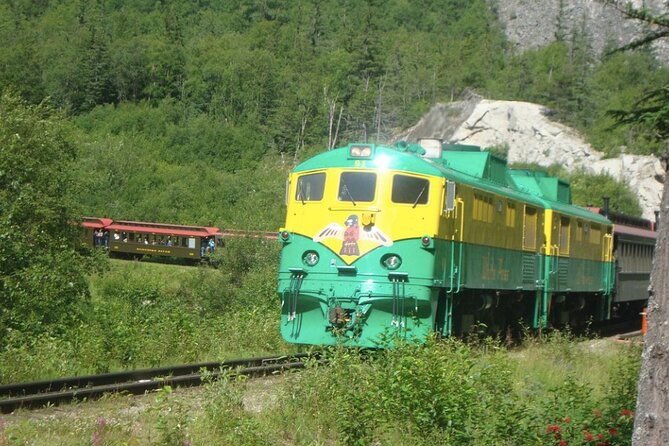 Half-Day Skagway City Tour and White Pass Summit Adventure