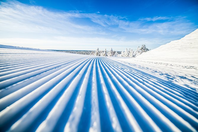 Half-Day Small-Group Cross-Country Skiing Lesson, Rovaniemi  - Saariselka - Good To Know