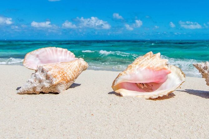 Half-day Snorkeling, Cruising, Iguana Island, Half Moon Bay - Good To Know