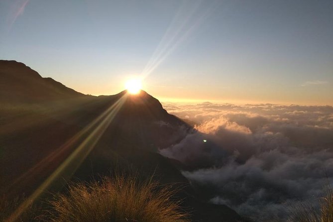 Half Day Sunrise Tour on Top Station, Munnar ( By Munnar Info)