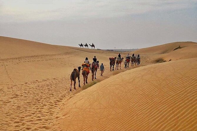 Half Day Sunset Camel Safari Jaisalmer