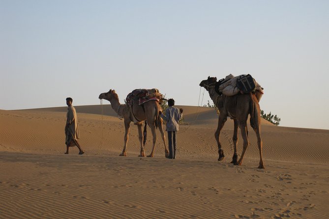 Half-Day Sunset Desert Safari