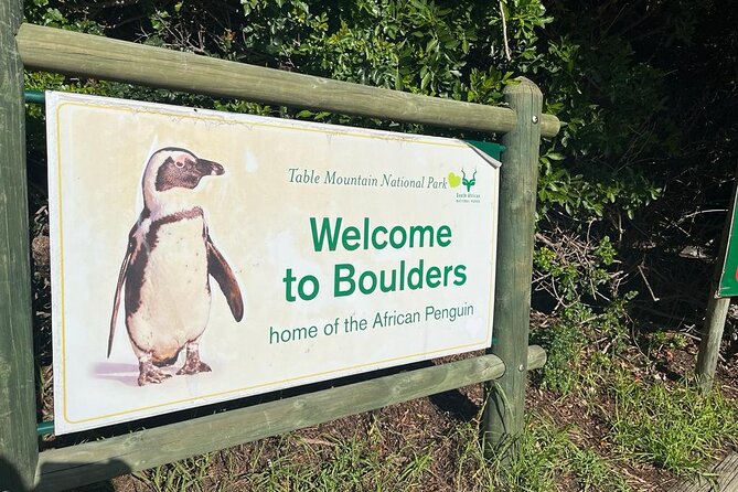 Half Day Table Mountain and Penguins Shared Group Tour