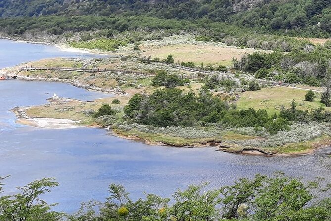 Half-Day Tierra Del Fuego National Park (Not Cruise) - Positive Feedback About the Tour Experience